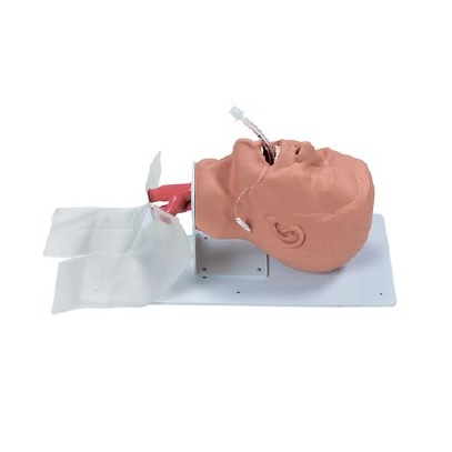 ECONOMY ADULT AIRWAY